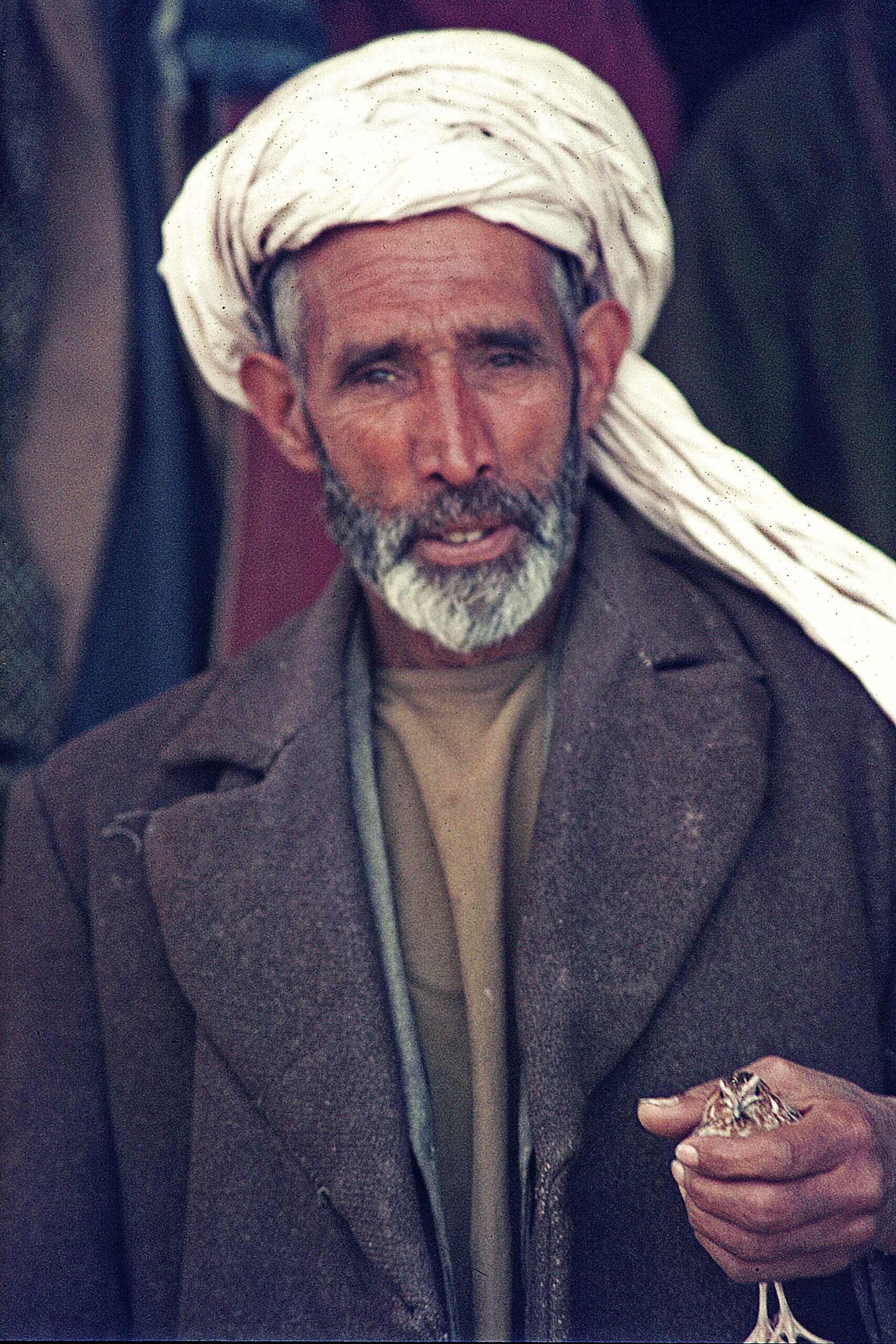 fighting-bird-in-hand-1972